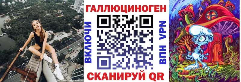 Купить где  Кукмор  Галлюциногенные грибы Psilocybe 